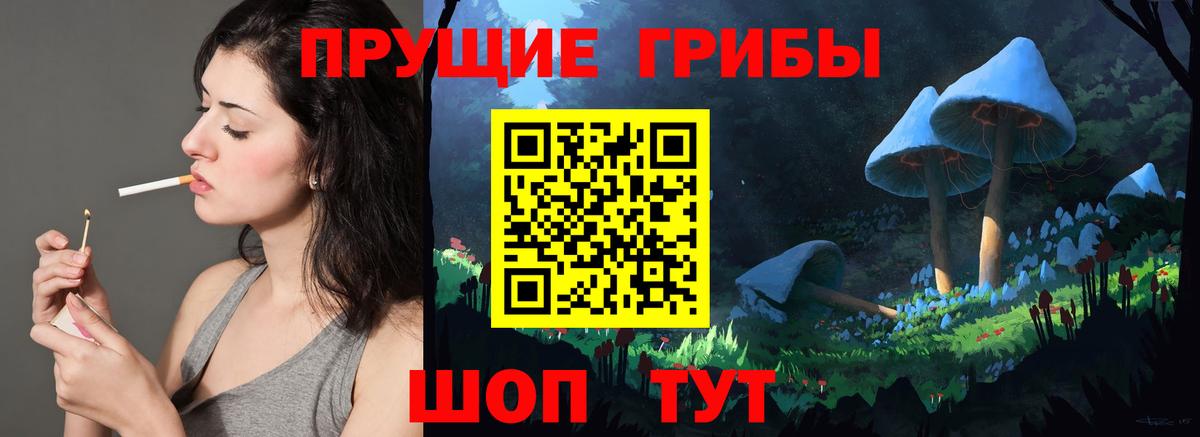 Выборг  Галлюциногенные грибы Psilocybe  Вход с VPN 