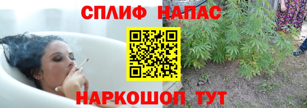 Каннабис семена  Шишки марихуана ГИДРОПОН  Канабис MAZAR  Конопля марихуана  Выборг  Вход с VPN 